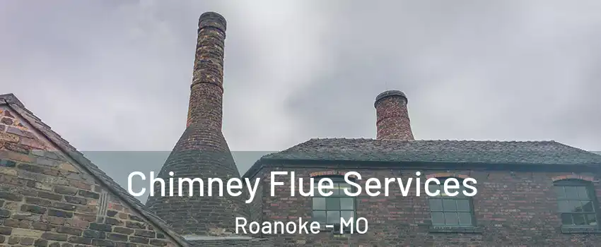 Chimney Flue Services Roanoke - MO