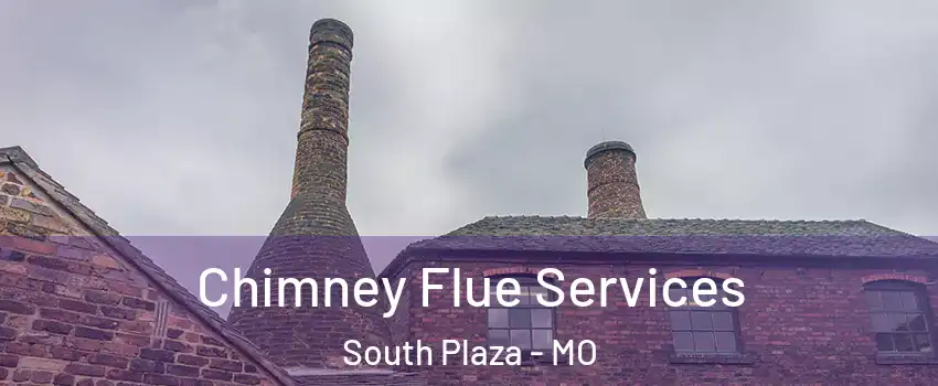 Chimney Flue Services South Plaza - MO
