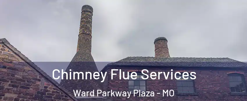 Chimney Flue Services Ward Parkway Plaza - MO