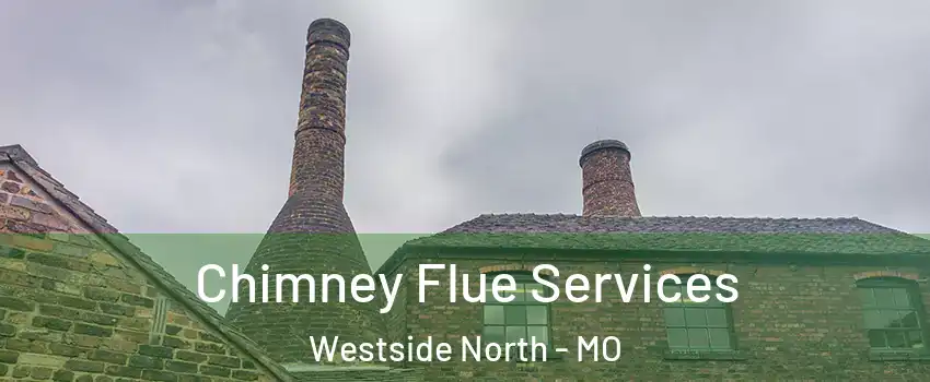Chimney Flue Services Westside North - MO