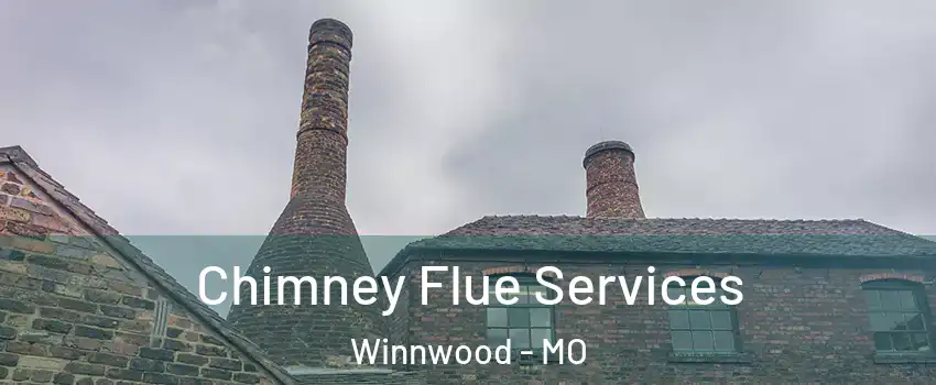 Chimney Flue Services Winnwood - MO