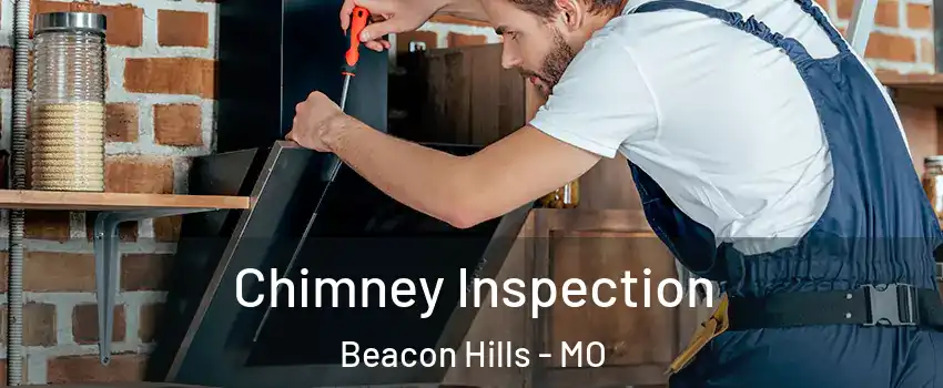 Chimney Inspection Beacon Hills - MO