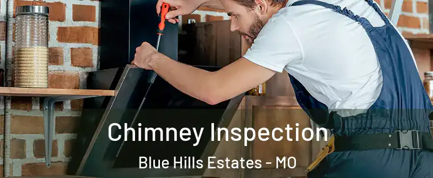 Chimney Inspection Blue Hills Estates - MO