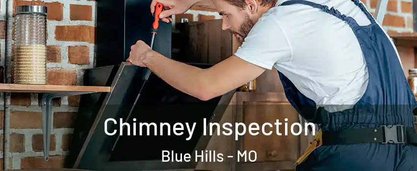 Chimney Inspection Blue Hills - MO