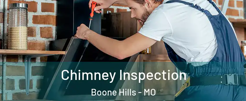 Chimney Inspection Boone Hills - MO