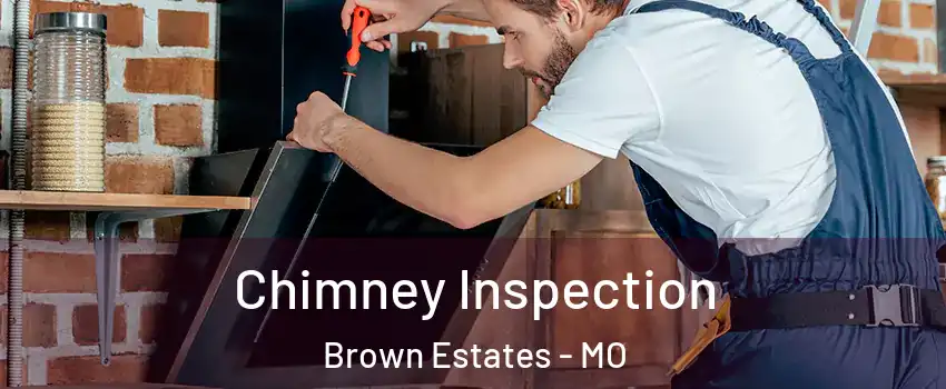 Chimney Inspection Brown Estates - MO