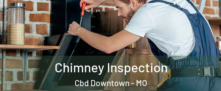 Chimney Inspection Cbd Downtown - MO