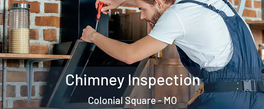 Chimney Inspection Colonial Square - MO