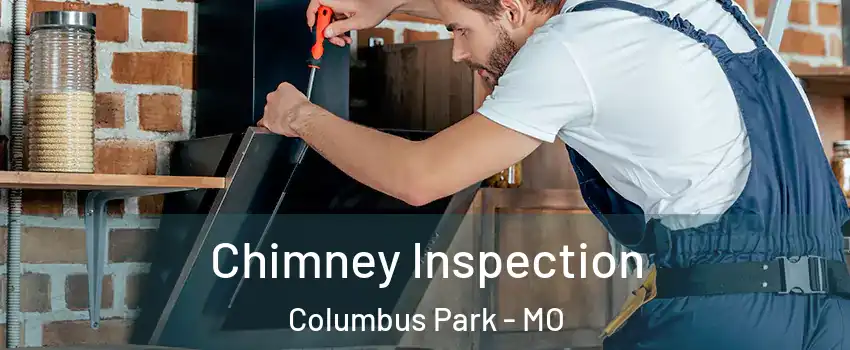 Chimney Inspection Columbus Park - MO