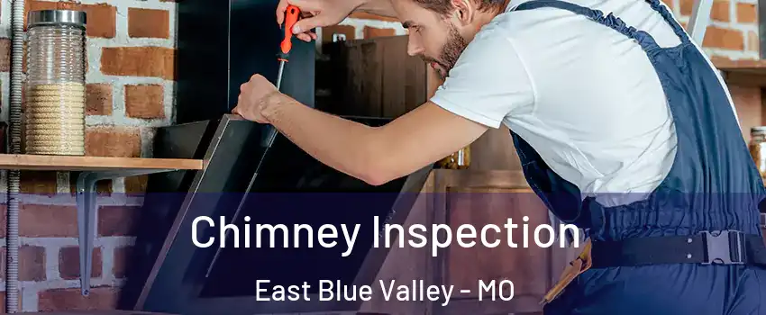 Chimney Inspection East Blue Valley - MO