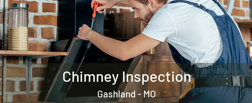 Chimney Inspection Gashland - MO