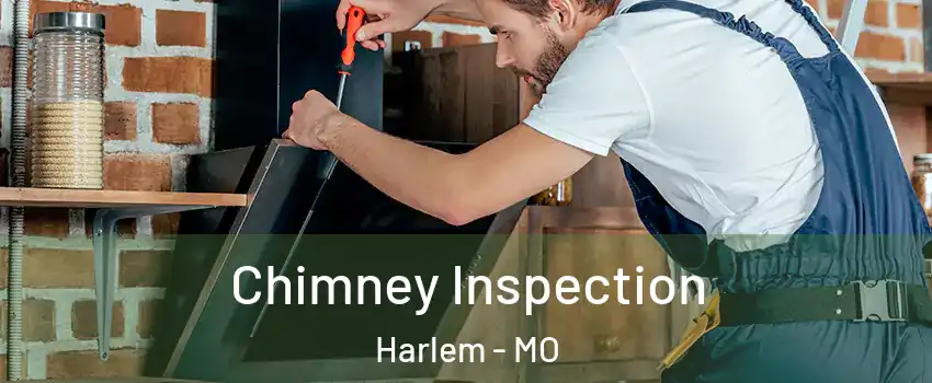 Chimney Inspection Harlem - MO