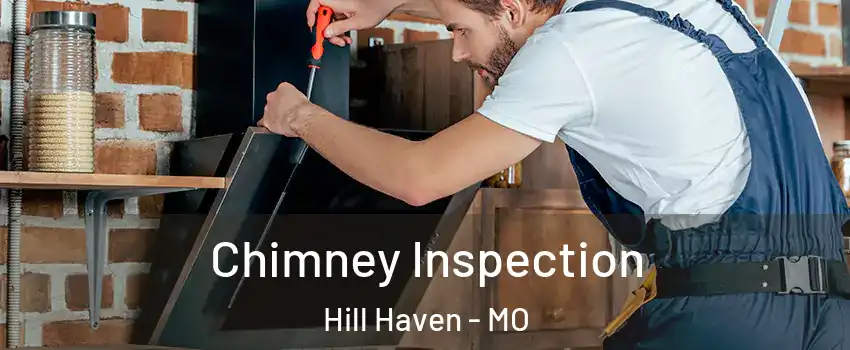 Chimney Inspection Hill Haven - MO