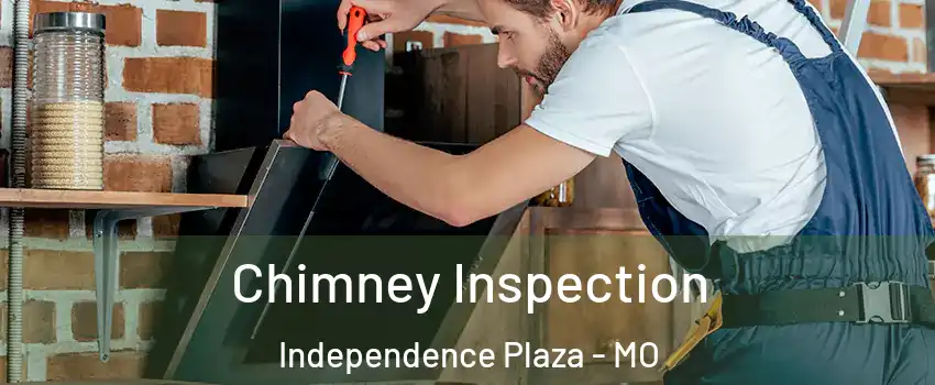 Chimney Inspection Independence Plaza - MO