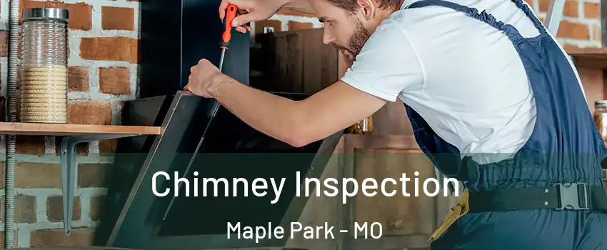 Chimney Inspection Maple Park - MO
