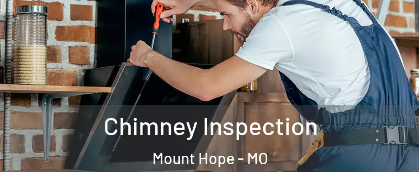 Chimney Inspection Mount Hope - MO