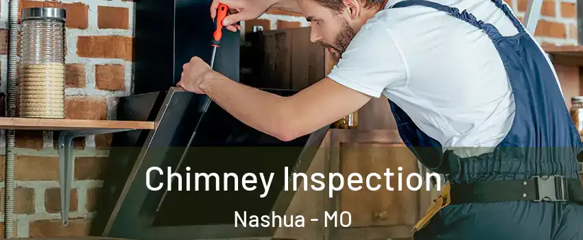 Chimney Inspection Nashua - MO