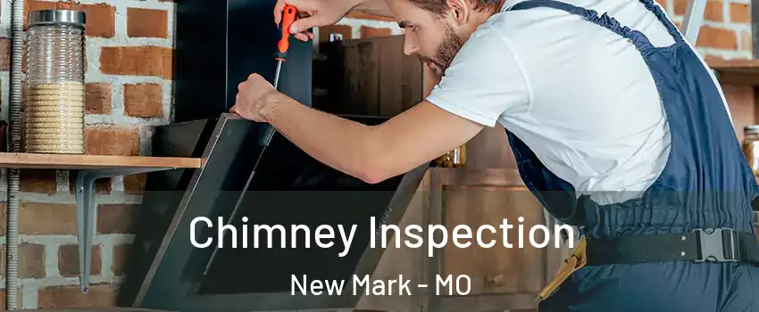 Chimney Inspection New Mark - MO