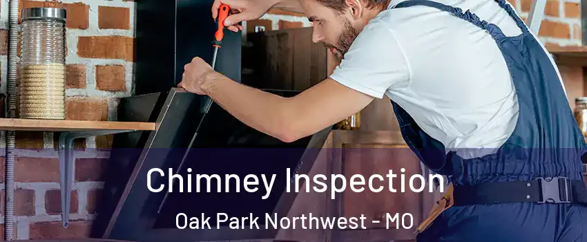 Chimney Inspection Oak Park Northwest - MO