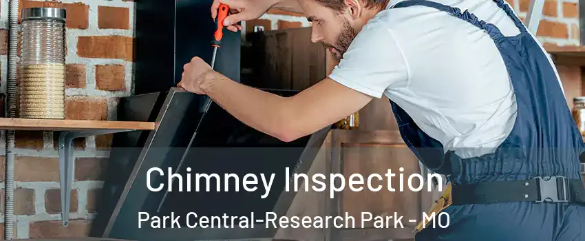 Chimney Inspection Park Central-Research Park - MO