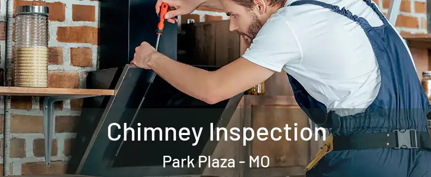 Chimney Inspection Park Plaza - MO