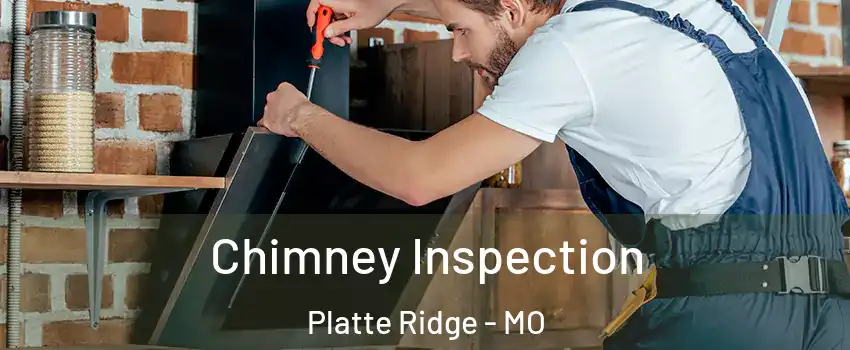 Chimney Inspection Platte Ridge - MO