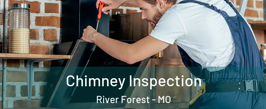 Chimney Inspection River Forest - MO