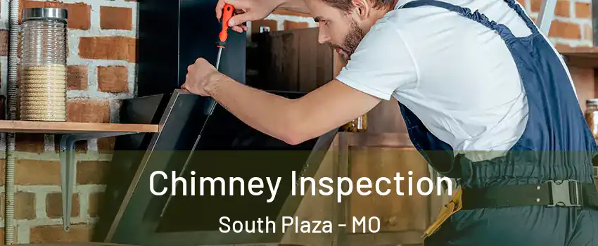 Chimney Inspection South Plaza - MO