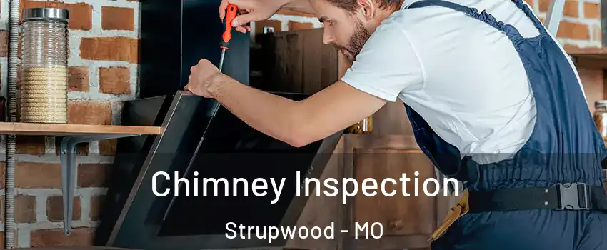 Chimney Inspection Strupwood - MO
