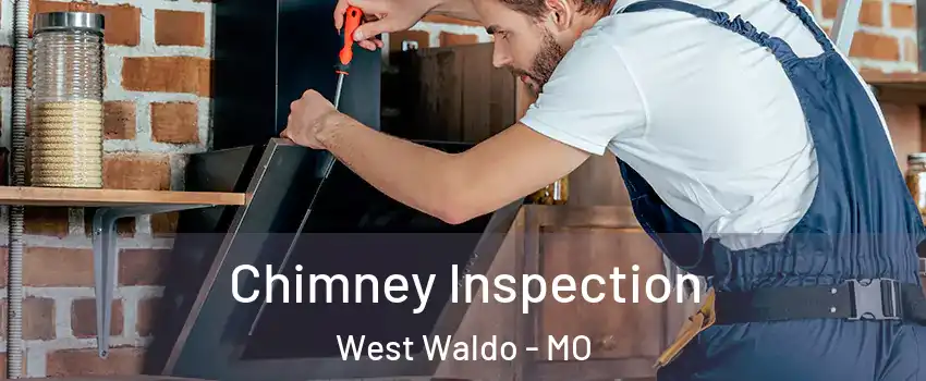 Chimney Inspection West Waldo - MO
