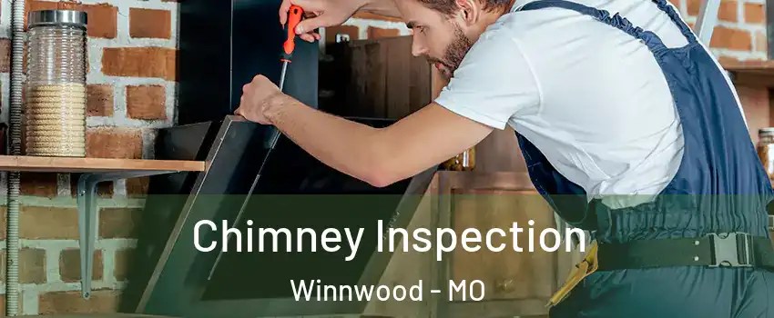 Chimney Inspection Winnwood - MO