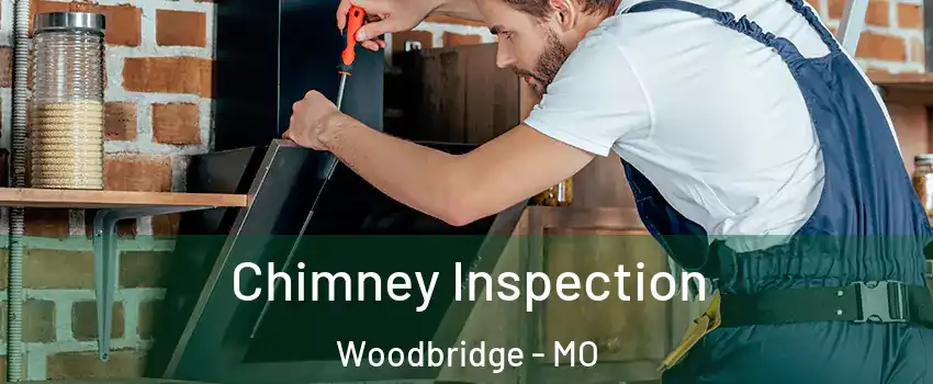 Chimney Inspection Woodbridge - MO