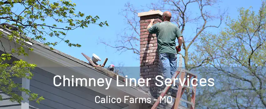 Chimney Liner Services Calico Farms - MO