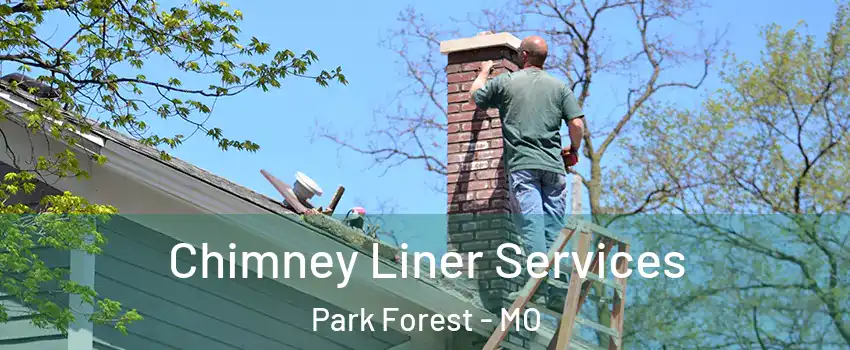 Chimney Liner Services Park Forest - MO