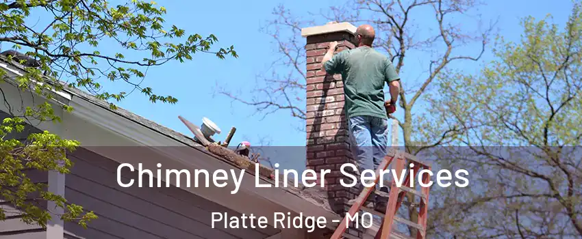 Chimney Liner Services Platte Ridge - MO