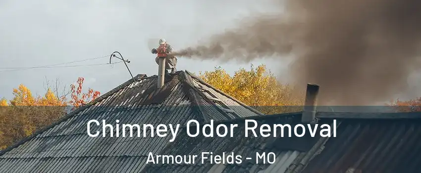 Chimney Odor Removal Armour Fields - MO