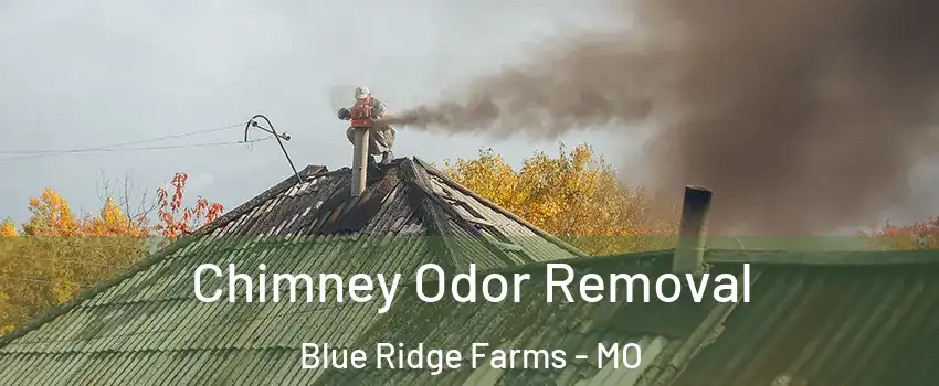 Chimney Odor Removal Blue Ridge Farms - MO
