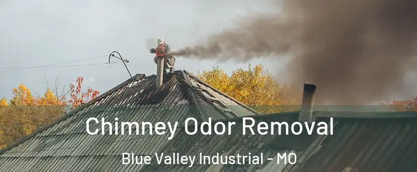 Chimney Odor Removal Blue Valley Industrial - MO