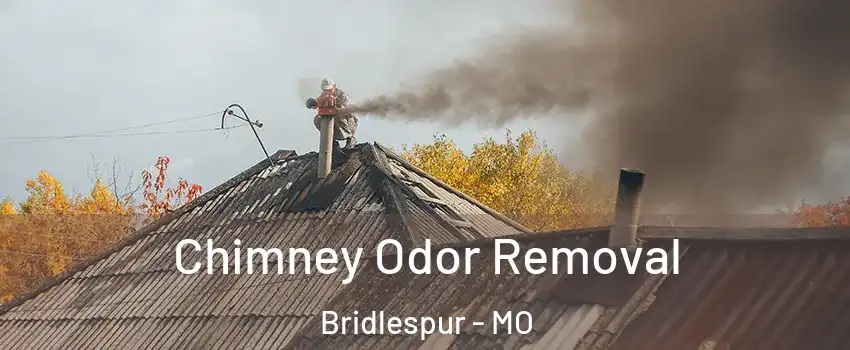 Chimney Odor Removal Bridlespur - MO