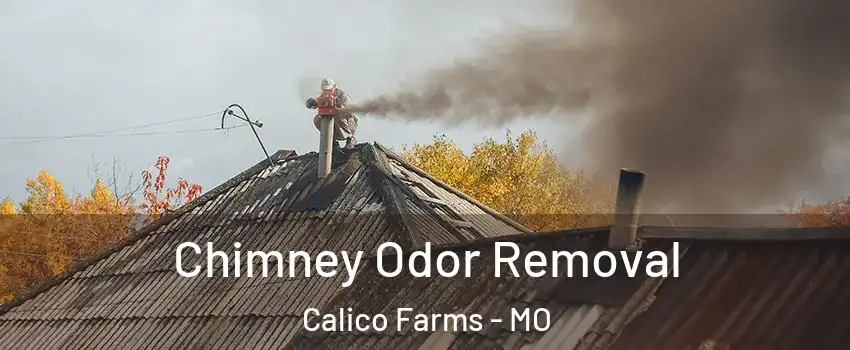 Chimney Odor Removal Calico Farms - MO