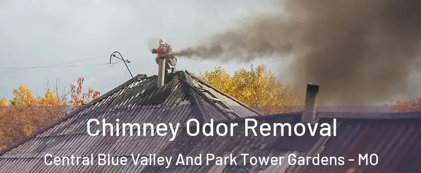 Chimney Odor Removal Central Blue Valley And Park Tower Gardens - MO