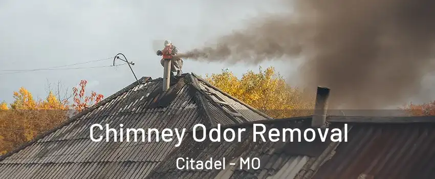 Chimney Odor Removal Citadel - MO