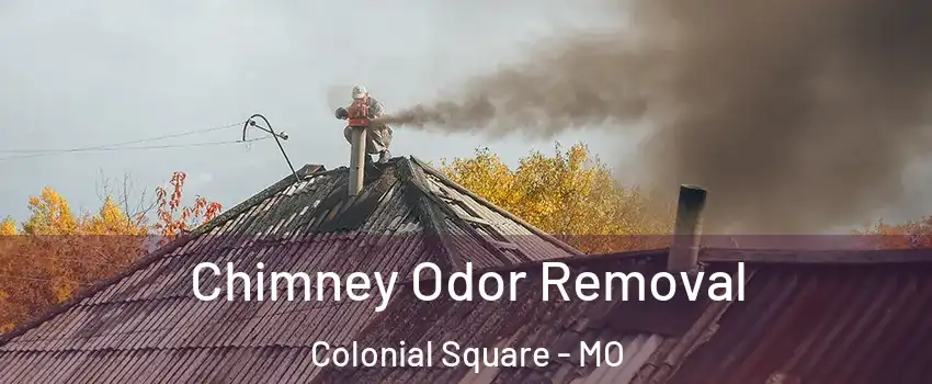 Chimney Odor Removal Colonial Square - MO