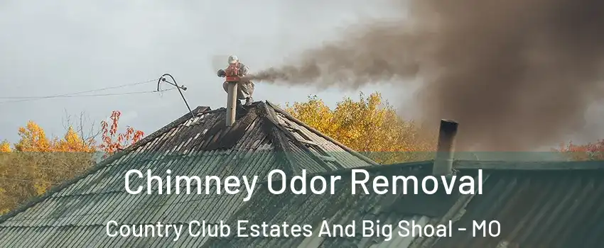 Chimney Odor Removal Country Club Estates And Big Shoal - MO