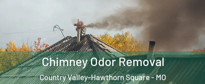 Chimney Odor Removal Country Valley-Hawthorn Square - MO
