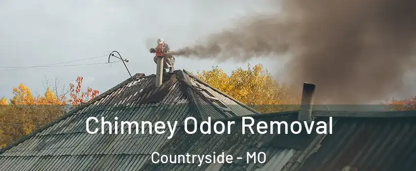 Chimney Odor Removal Countryside - MO