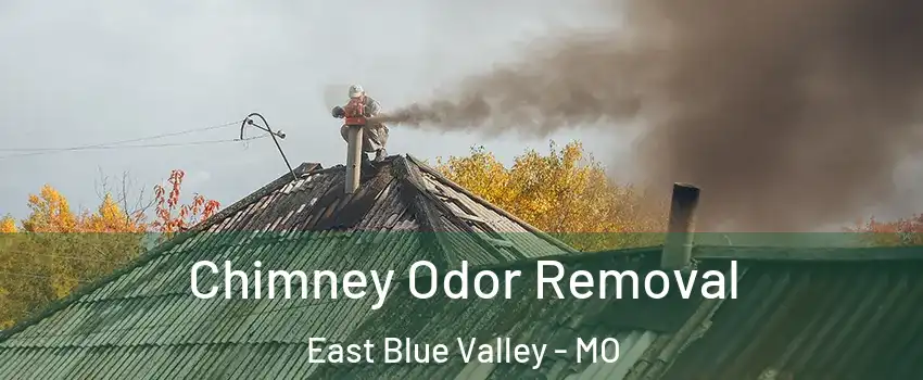 Chimney Odor Removal East Blue Valley - MO