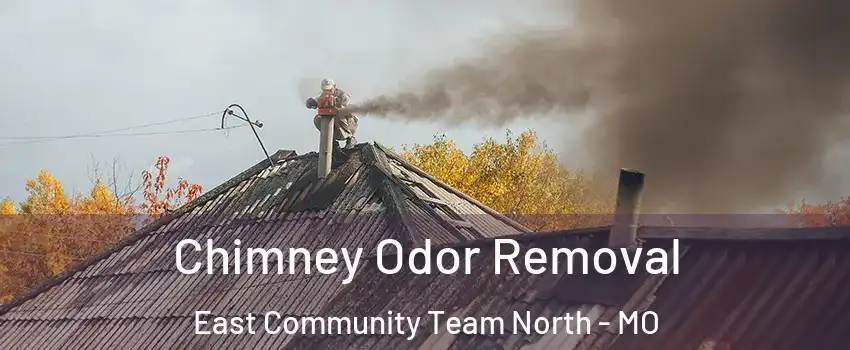 Chimney Odor Removal East Community Team North - MO