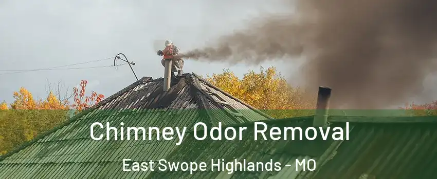 Chimney Odor Removal East Swope Highlands - MO