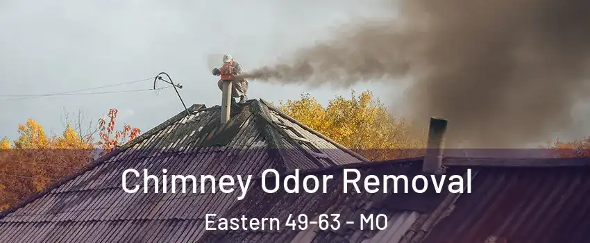 Chimney Odor Removal Eastern 49-63 - MO